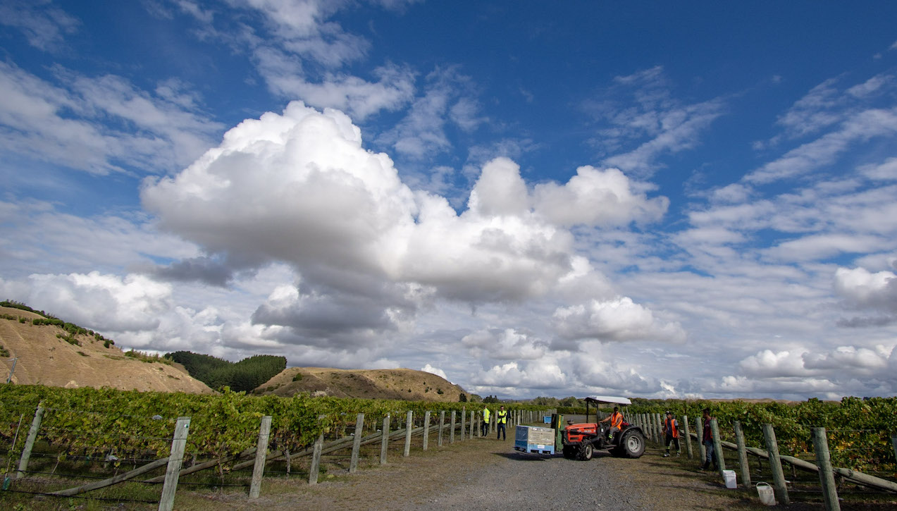 Gimblett Gravels Jancis Robinson